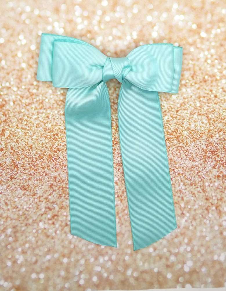 ΦΙΟΓΚΟς ΣΕ ΠΕΤΡΟΛ ΧΡΩΜΑ ΜΕ ΚΟΡΔΕΛΑ ΣΕ ΜΠΑΡΕΤΑ